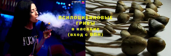 гидропоника Балабаново
