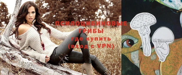 гидропоника Балабаново