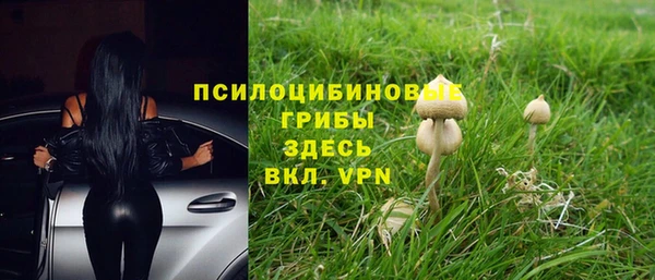 гидропоника Балабаново
