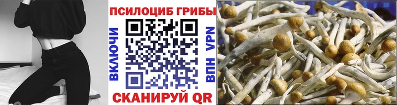 Псилоцибиновые грибы Magic Shrooms  Певек 